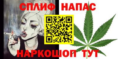 МДПВ Славянск-на-Кубани